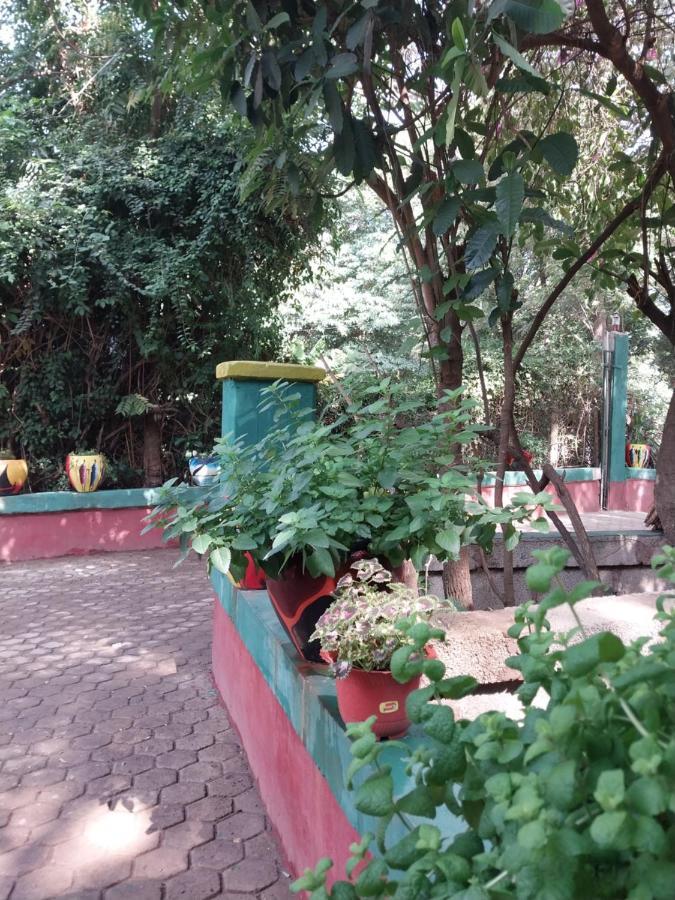 Green Garden Guest House Arusha Extérieur photo