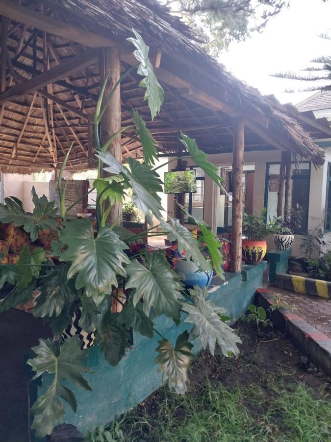 Green Garden Guest House Arusha Extérieur photo