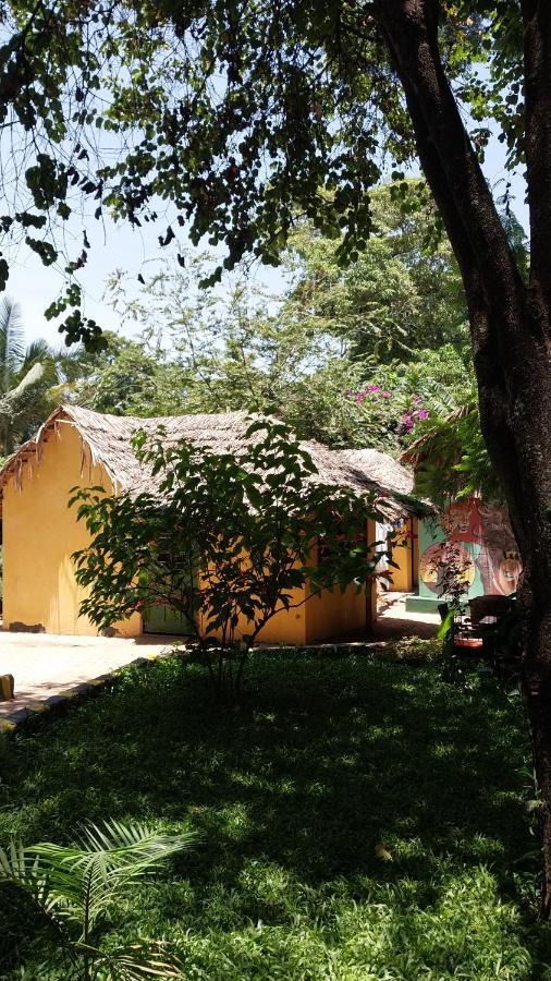 Green Garden Guest House Arusha Extérieur photo
