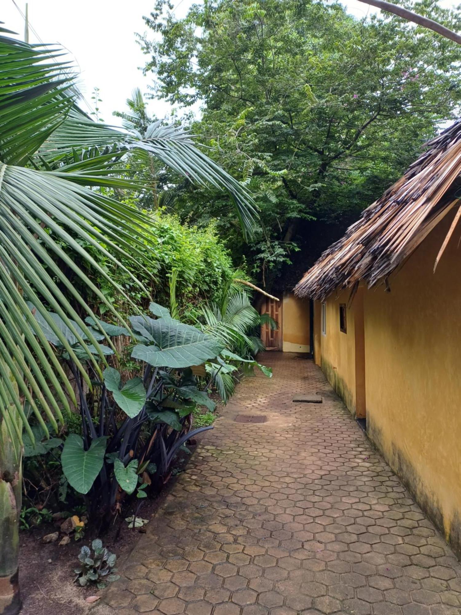 Green Garden Guest House Arusha Extérieur photo